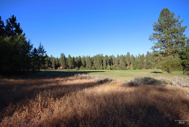 L4 Ponderosa Ct, New Meadows, ID 83654
