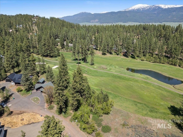 L4 Ponderosa Ct, New Meadows, ID 83654