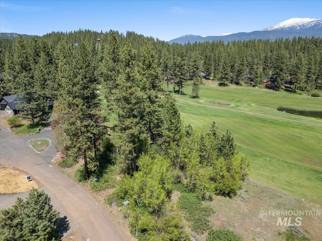 L4 Ponderosa Ct, New Meadows, ID 83654