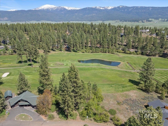 L4 Ponderosa Ct, New Meadows, ID 83654