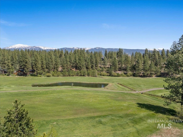 L4 Ponderosa Ct, New Meadows, ID 83654