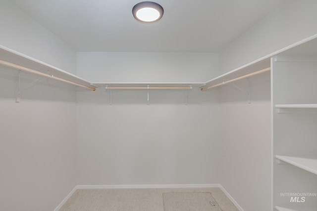 walk in closet with carpet floors