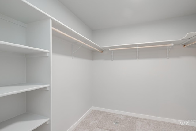 11129 Canvas St, Caldwell, ID 83605 - spacious closet with carpet floors