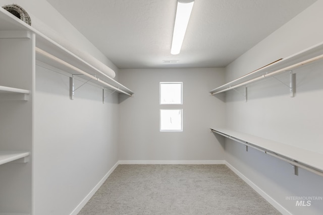 11835 W Wild Aster Dr, Star, ID 83669 - spacious closet with carpet floors