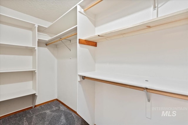 spacious closet with dark carpet