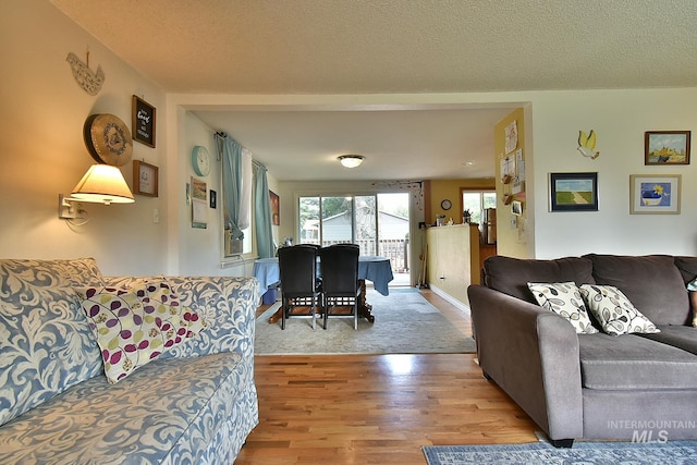 living room featuring hardwood / wood-style flooring and a textured ceiling