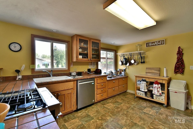 kitchen featuring stainless steel dishwasher, tile countertops, and sink