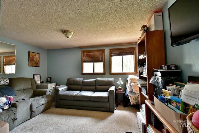 carpeted living room with a textured ceiling