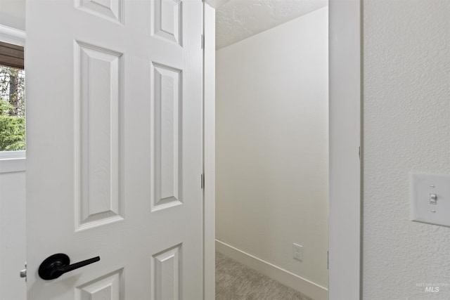 details featuring a textured ceiling, carpet floors, and baseboards