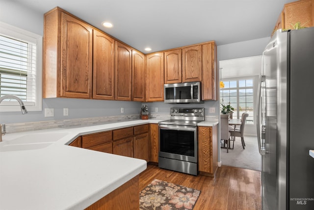 kitchen featuring appliances with stainless steel finishes, dark hardwood / wood-style floors, and sink