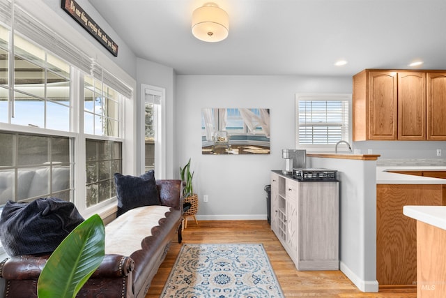 interior space featuring light hardwood / wood-style floors and sink