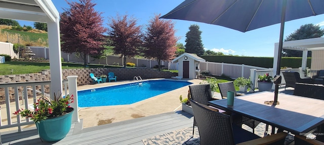 view of pool with a storage unit and a patio area