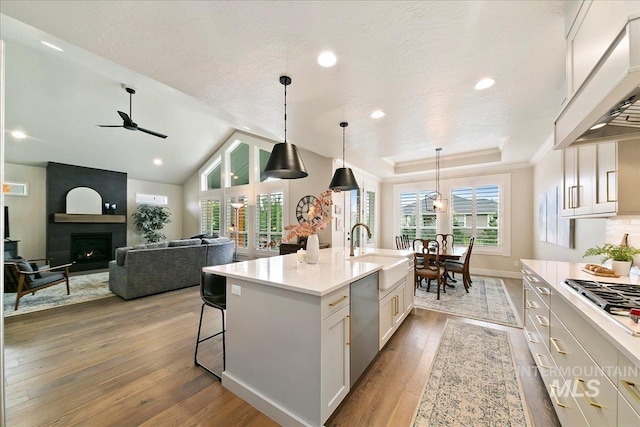 kitchen featuring sink, stainless steel appliances, white cabinetry, a fireplace, and custom range hood