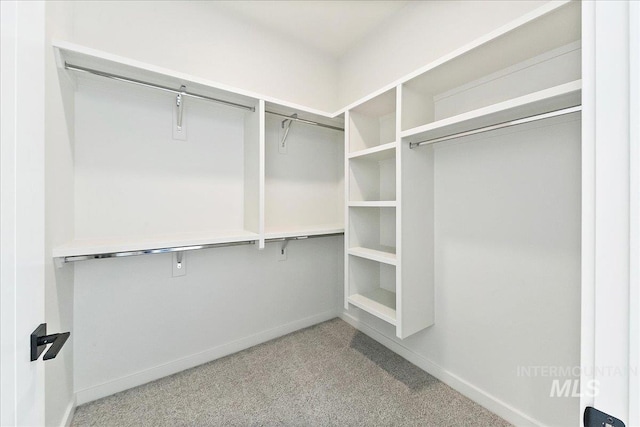 walk in closet with carpet