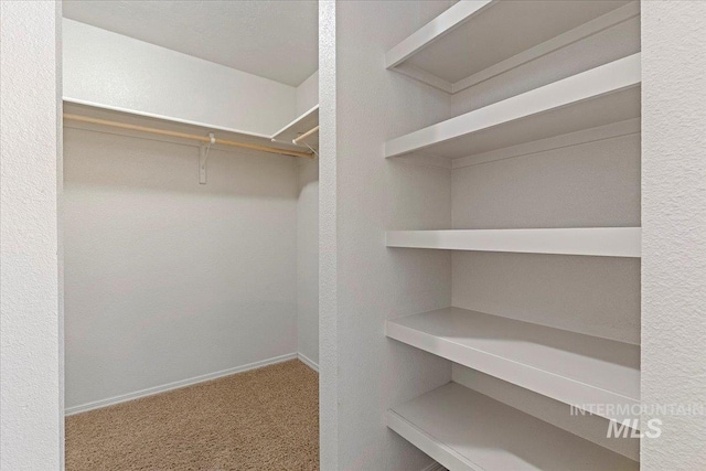 201 W Lava Fls, Meridian, ID 83646 - walk in closet with carpet flooring