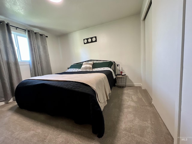 bedroom featuring carpet floors and a closet