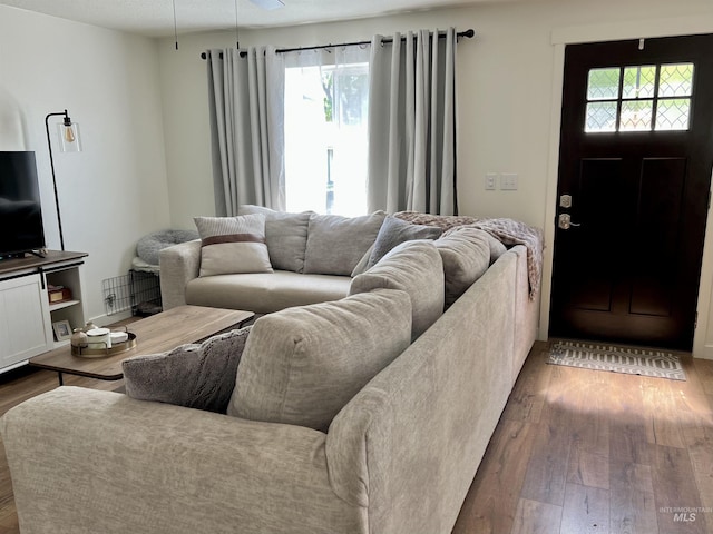 living room featuring wood finished floors