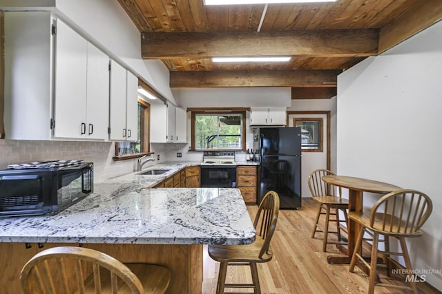 1011 E 1000 S, Albion, ID 83311 - kitchen with black appliances, a sink, backsplash, light wood finished floors, and a peninsula