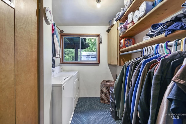 1011 E 1000 S, Albion, ID 83311 - laundry area featuring independent washer and dryer, cabinet space, and dark carpet
