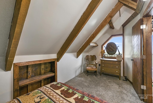 1011 E 1000 S, Albion, ID 83311 - bedroom featuring carpet floors