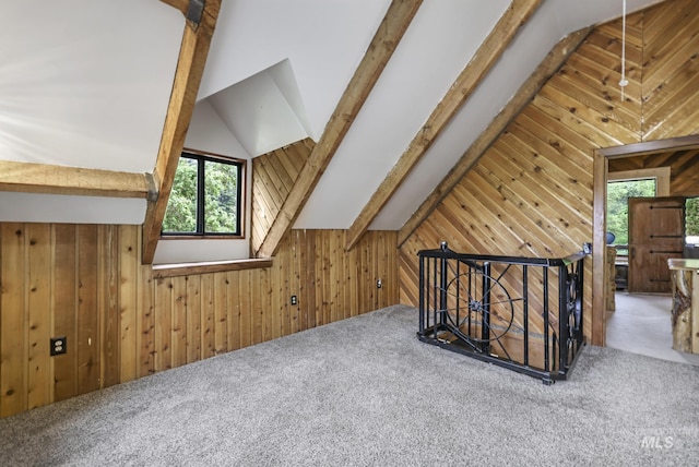 1011 E 1000 S, Albion, ID 83311 - additional living space featuring wooden walls and carpet flooring