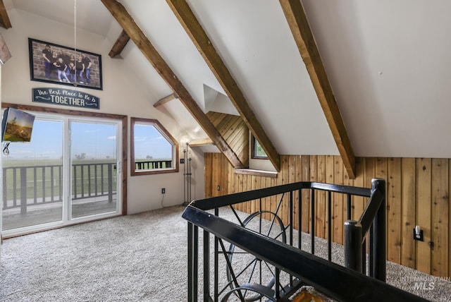 1011 E 1000 S, Albion, ID 83311 - stairs with carpet floors, wood walls, and healthy amount of natural light