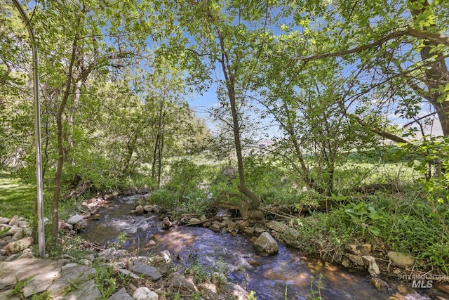 1011 E 1000 S, Albion, ID 83311 - view of local wilderness