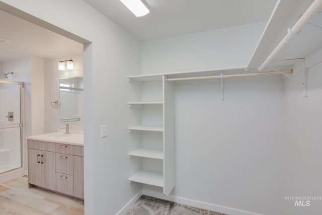 walk in closet with light wood-style floors and a sink