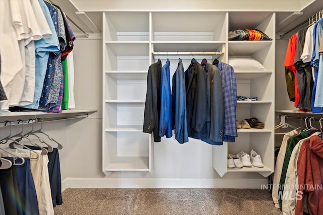9753 W Wildbranch, Star, ID 83669 - walk in closet featuring carpet floors