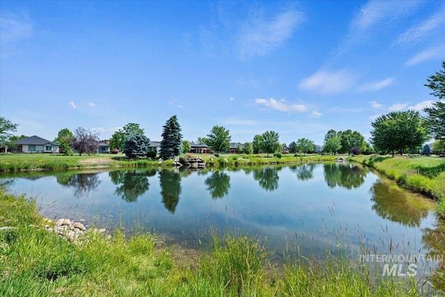9753 W Wildbranch, Star, ID 83669 - water view