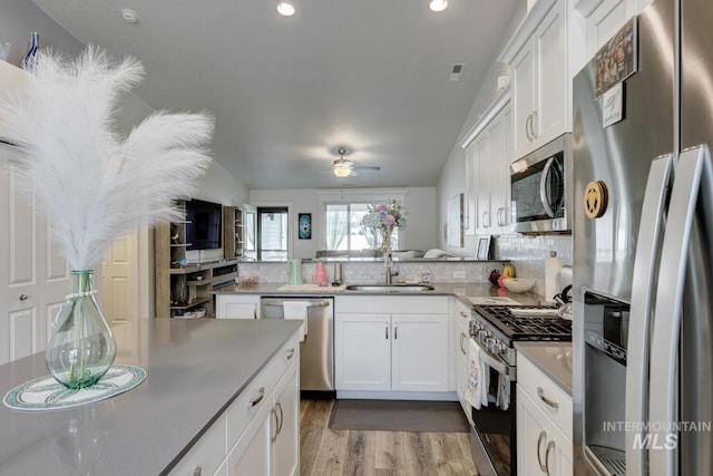 1987 S Defio Way, Meridian, ID 83642 - kitchen featuring appliances with stainless steel finishes, wood finished floors, a peninsula, a ceiling fan, and backsplash
