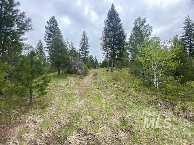 104 Coit Dr, Cascade, ID 83611