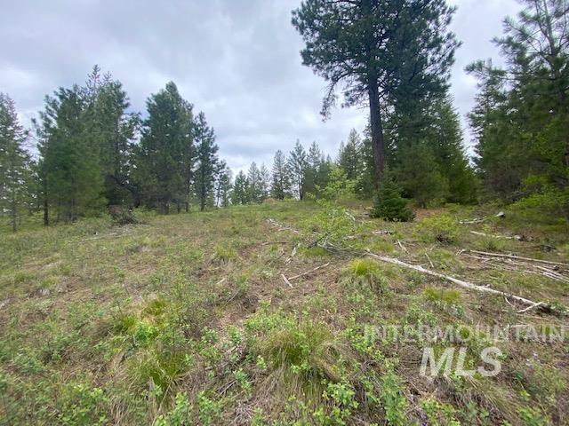 104 Coit Dr, Cascade, ID 83611