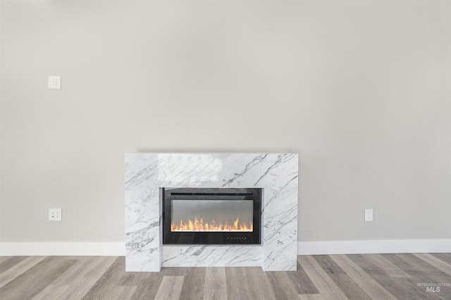 interior details featuring a premium fireplace and wood-type flooring