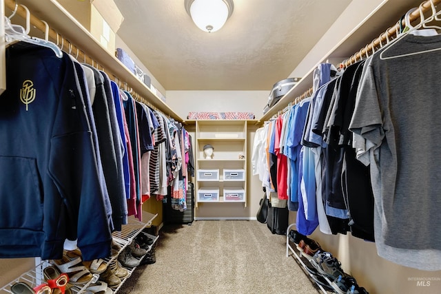 5375 N Isla Ave, Meridian, ID 83646 - spacious closet featuring carpet flooring