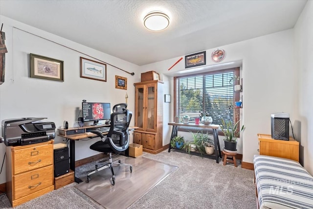 carpeted office space with a textured ceiling