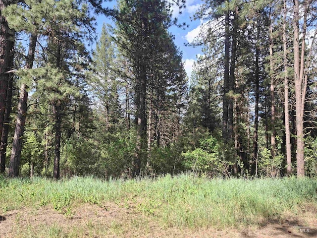 8 Lookout Rd, Garden Valley, ID 83622 - view of woods
