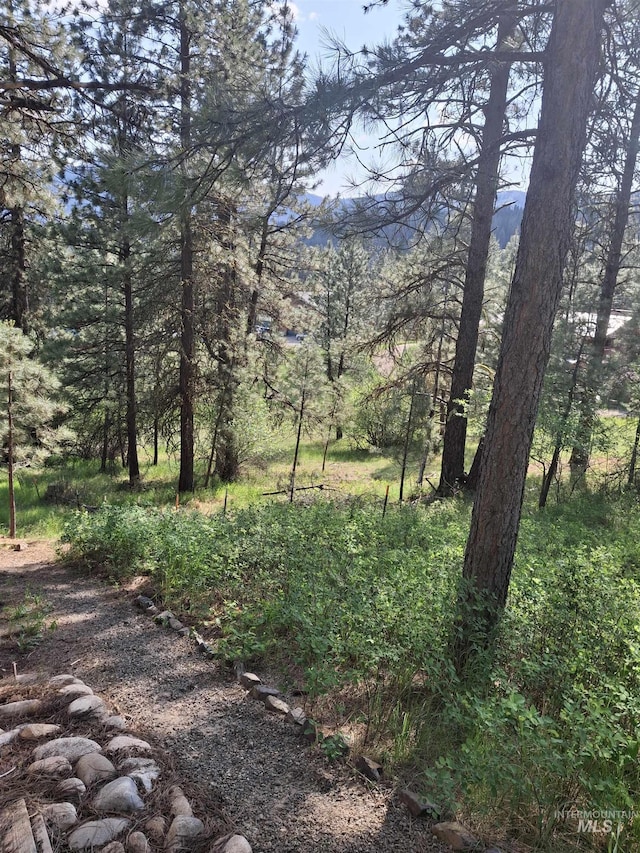 8 Lookout Rd, Garden Valley, ID 83622 - view of tree filled area
