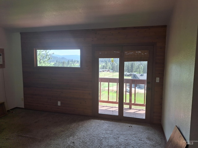 8 Lookout Rd, Garden Valley, ID 83622 - empty room featuring carpet, wood walls, plenty of natural light, and a textured wall