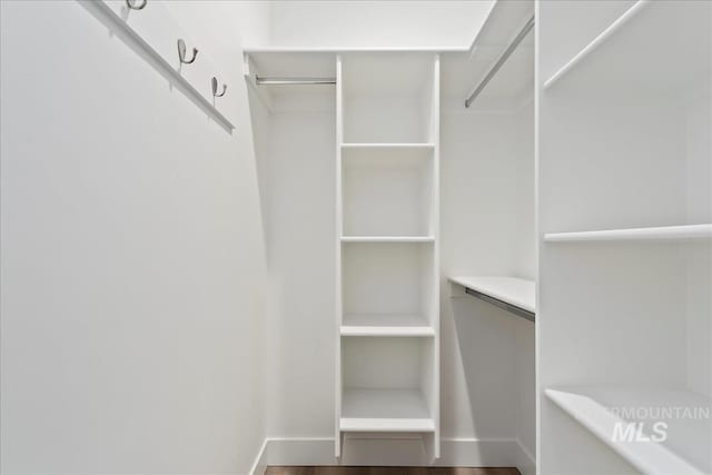 walk in closet with wood-type flooring