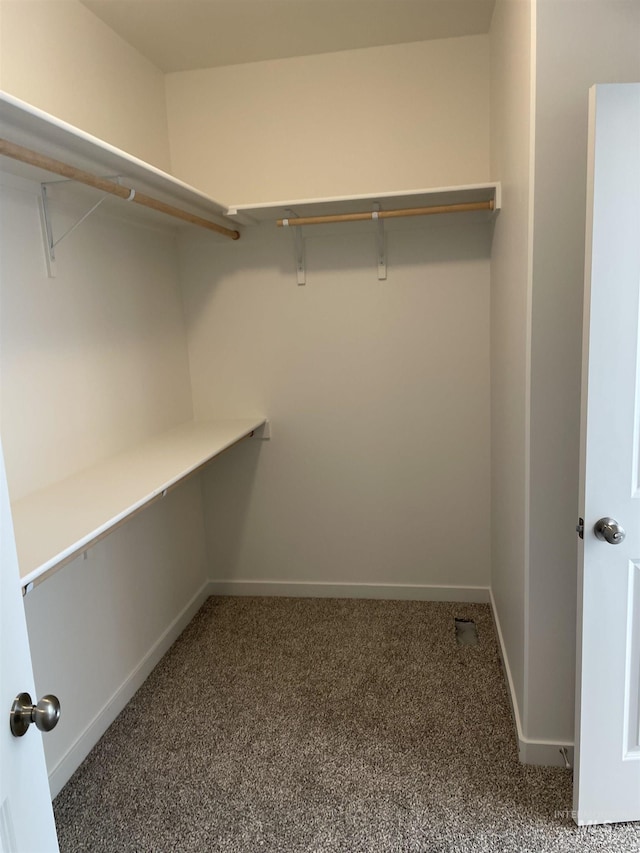 spacious closet with carpet floors