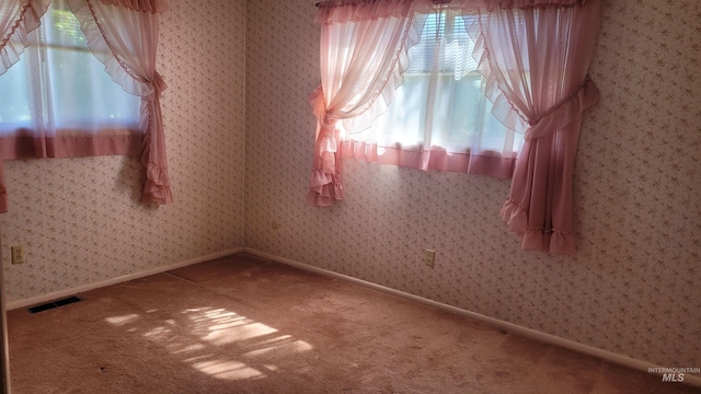17 W 208 S, Burley, ID 83318 - view of carpeted spare room