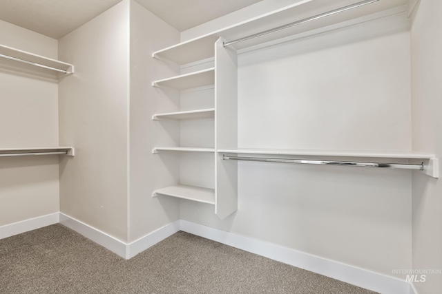 74 E Ranch Dr, Eagle, ID 83616 - walk in closet with carpet floors