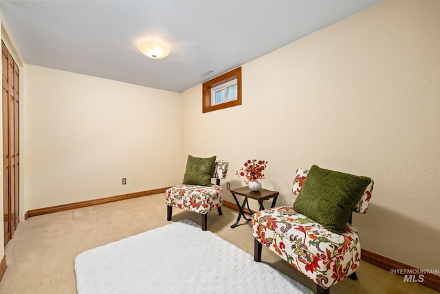 sitting room with carpet flooring