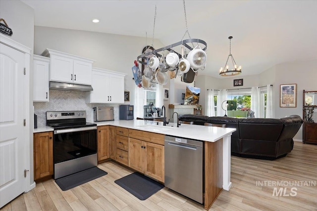1440 Riverbend Pl, Twin Falls, ID 83301 - kitchen with stainless steel appliances, under cabinet range hood, a peninsula, open floor plan, and recessed lighting