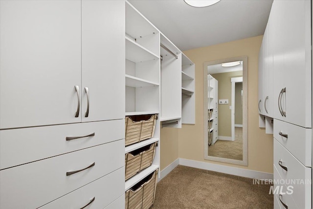 spacious closet featuring carpet floors