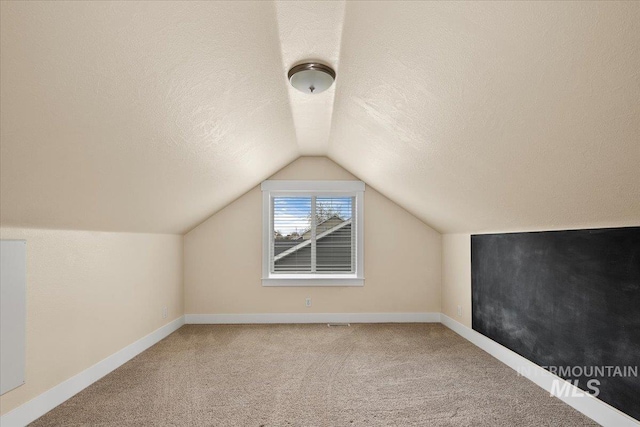 additional living space featuring a textured ceiling, lofted ceiling, and carpet