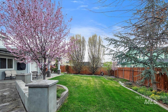 view of yard featuring a patio and a fenced backyard