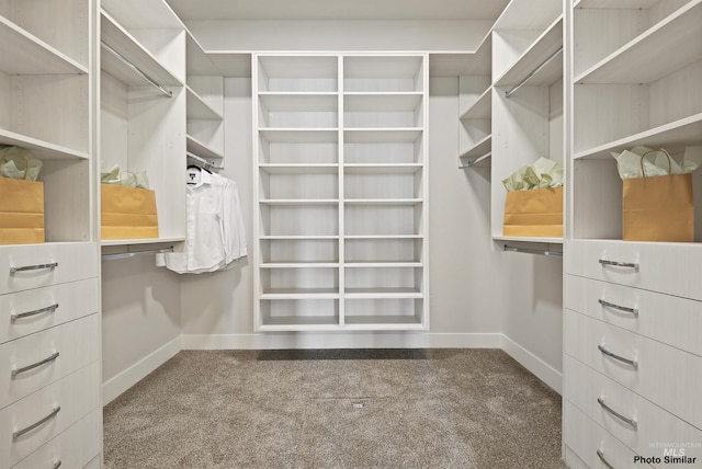 3053 Ajax Ave, Eagle, ID 83616 - spacious closet featuring carpet flooring