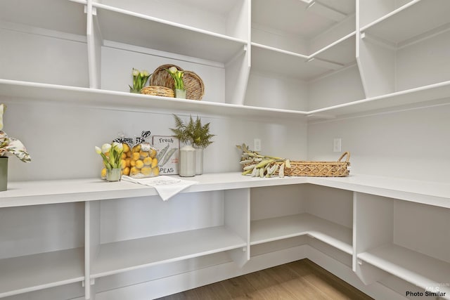 3053 Ajax Ave, Eagle, ID 83616 - view of storage area